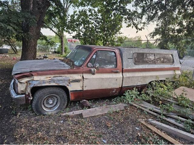 1981 GMC 1500 (CC-2111941) for sale in Cadillac, Michigan