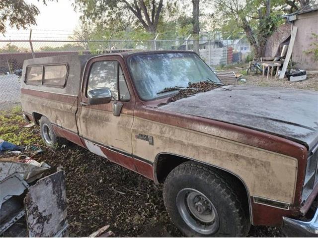 1981 GMC 1500 (CC-2111941) for sale in Cadillac, Michigan