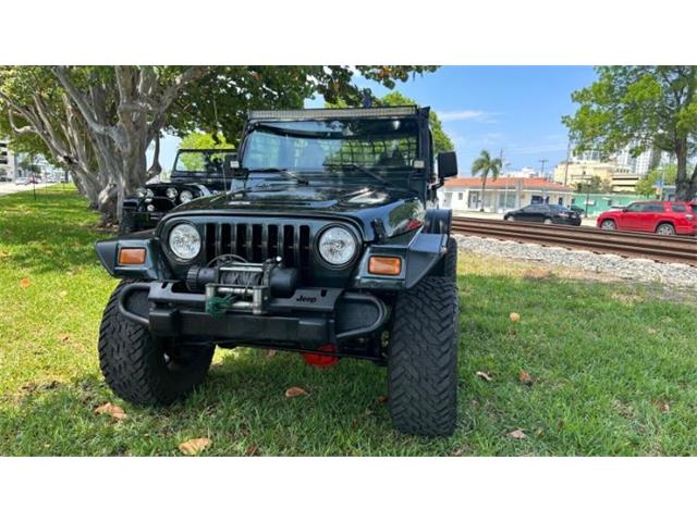 2002 Jeep Wrangler (CC-2111945) for sale in Cadillac, Michigan