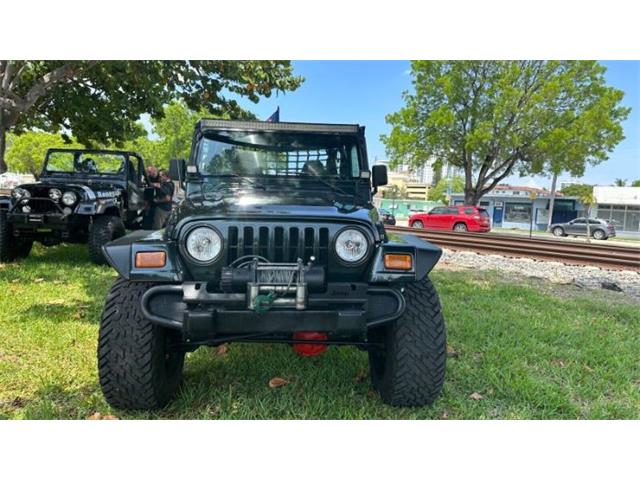 2002 Jeep Wrangler (CC-2111945) for sale in Cadillac, Michigan