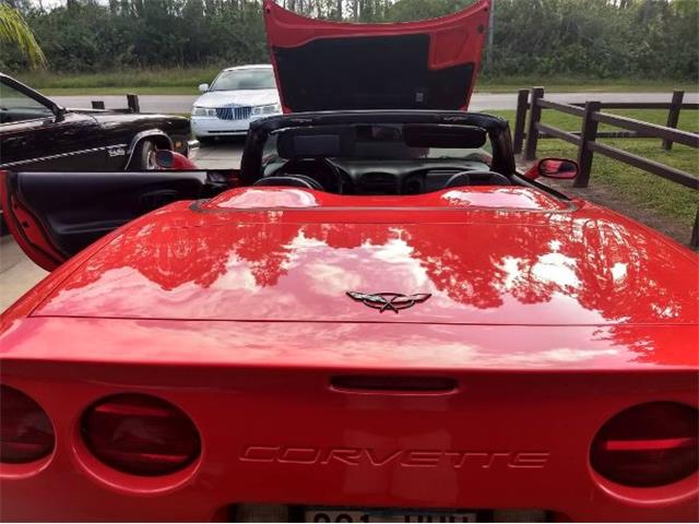 1999 Chevrolet Corvette (CC-2110195) for sale in Cadillac, Michigan