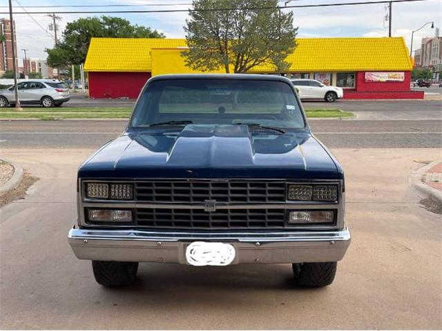 1985 Chevrolet C10 (CC-2111953) for sale in Cadillac, Michigan