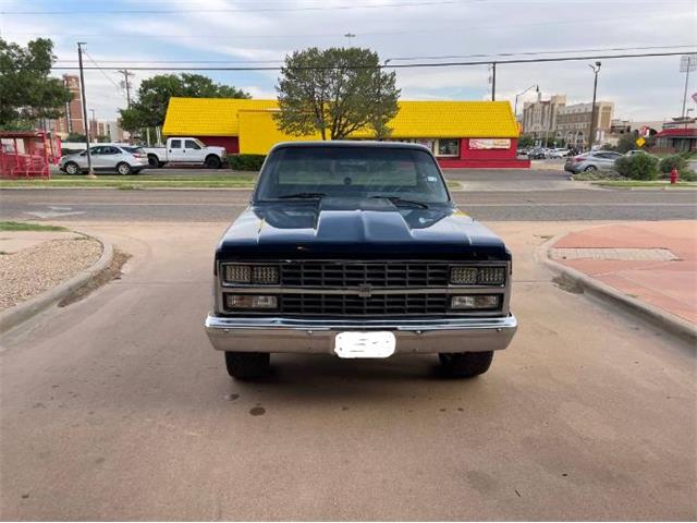1985 Chevrolet C10 (CC-2111953) for sale in Cadillac, Michigan