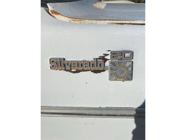 1973 Chevrolet C20 (CC-2111970) for sale in Cadillac, Michigan