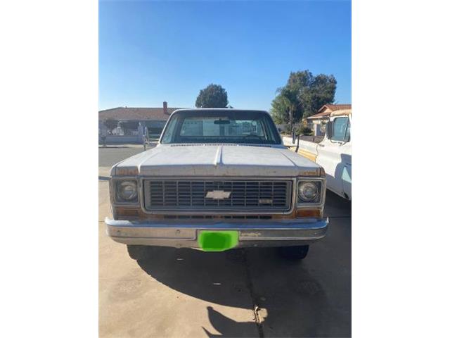 1973 Chevrolet C20 (CC-2111970) for sale in Cadillac, Michigan