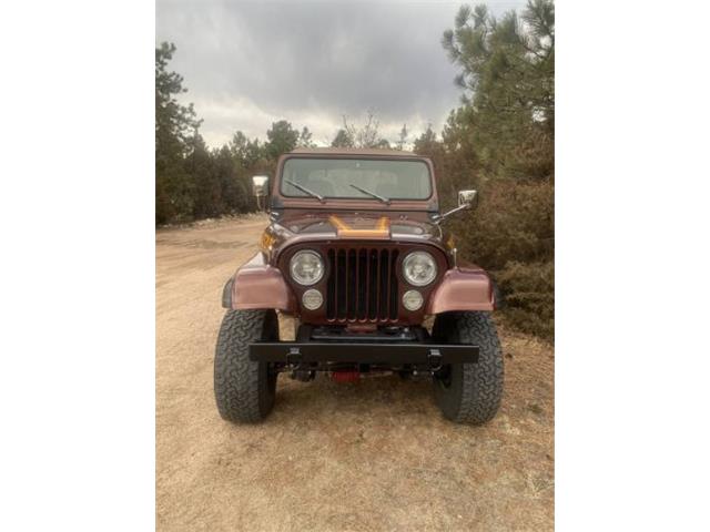 1983 Jeep CJ7 (CC-2111971) for sale in Cadillac, Michigan