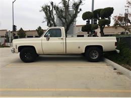 1974 Chevrolet C20 (CC-2112005) for sale in Cadillac, Michigan