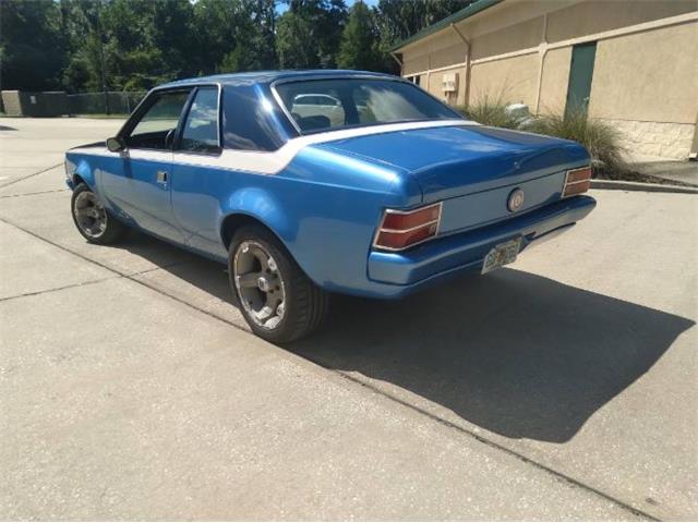 1972 AMC Hornet (CC-2112009) for sale in Cadillac, Michigan