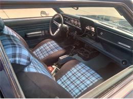 1972 AMC Hornet (CC-2112009) for sale in Cadillac, Michigan
