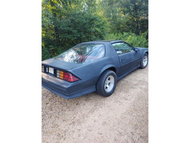 1991 Chevrolet Camaro (CC-2112010) for sale in Cadillac, Michigan