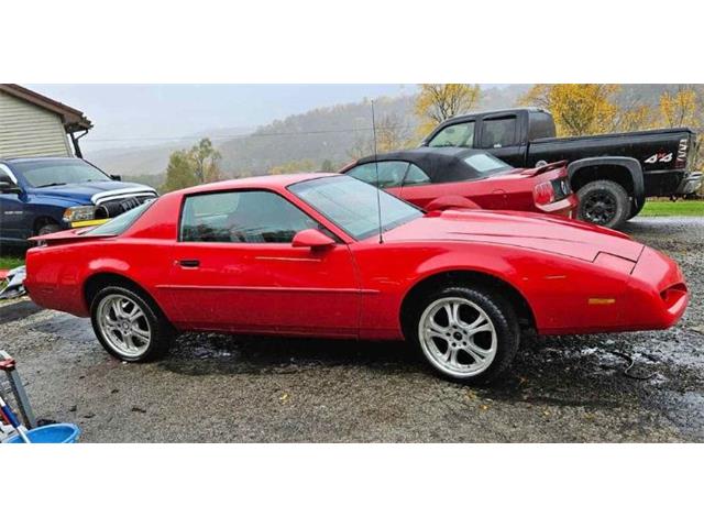 1987 Pontiac Firebird (CC-2112011) for sale in Cadillac, Michigan
