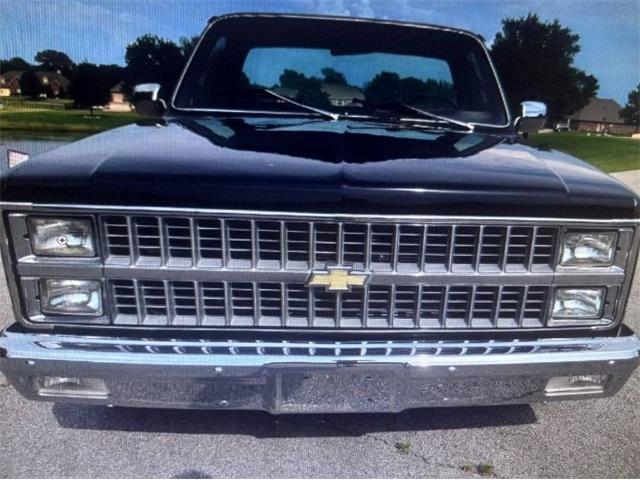 1982 Chevrolet Silverado (CC-2112027) for sale in Cadillac, Michigan