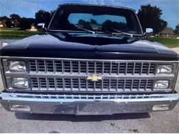 1982 Chevrolet Silverado (CC-2112027) for sale in Cadillac, Michigan