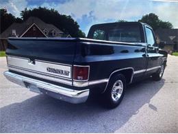 1982 Chevrolet Silverado (CC-2112027) for sale in Cadillac, Michigan