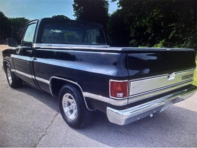 1982 Chevrolet Silverado (CC-2112027) for sale in Cadillac, Michigan