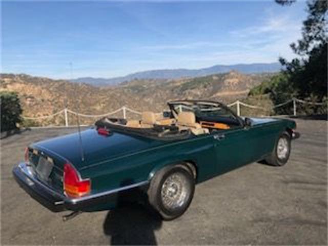 1990 Jaguar XJS (CC-2112038) for sale in Cadillac, Michigan