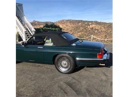 1990 Jaguar XJS (CC-2112038) for sale in Cadillac, Michigan