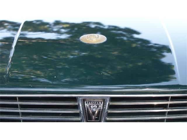 1990 Jaguar XJS (CC-2112038) for sale in Cadillac, Michigan