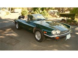 1990 Jaguar XJS (CC-2112038) for sale in Cadillac, Michigan