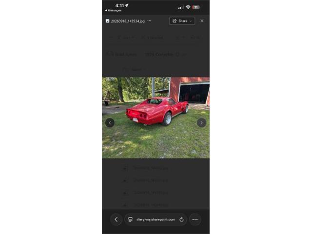 1975 Chevrolet Corvette (CC-2112044) for sale in Cadillac, Michigan
