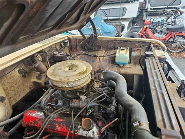 1970 International Pickup (CC-2112050) for sale in Cadillac, Michigan