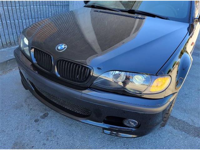 2004 BMW 3 Series (CC-2112066) for sale in Cadillac, Michigan
