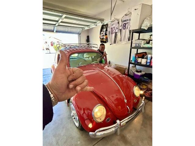 1958 Volkswagen Beetle (CC-2112067) for sale in Cadillac, Michigan