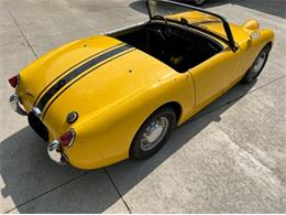1959 Austin-Healey Sprite (CC-2112096) for sale in Cadillac, Michigan