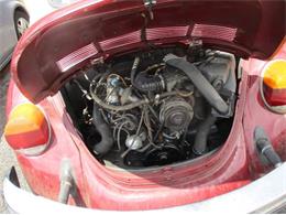 1977 Volkswagen Beetle (CC-2112107) for sale in Cadillac, Michigan