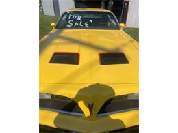 1978 Pontiac Firebird (CC-2112111) for sale in Cadillac, Michigan