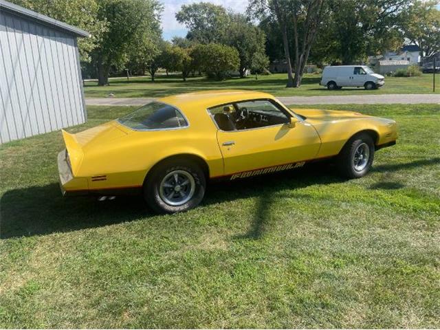 1978 Pontiac Firebird (CC-2112111) for sale in Cadillac, Michigan