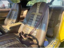 1978 Pontiac Firebird (CC-2112111) for sale in Cadillac, Michigan