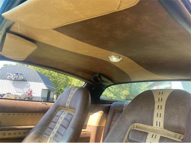1978 Pontiac Firebird (CC-2112111) for sale in Cadillac, Michigan