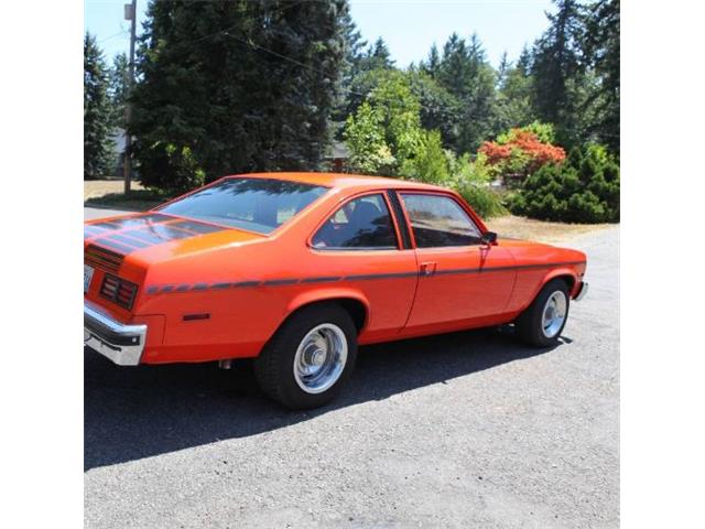 1977 Chevrolet Nova (CC-2112125) for sale in Cadillac, Michigan