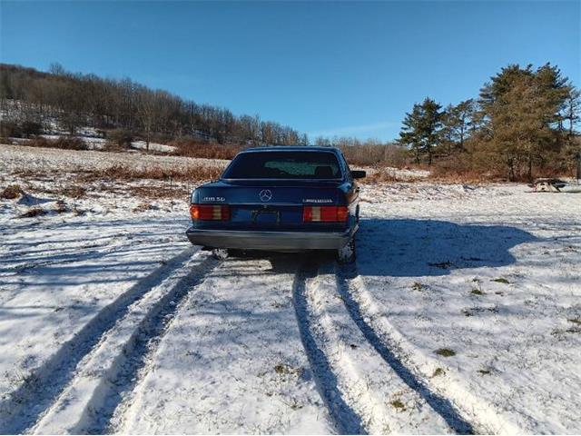 1983 Mercedes-Benz 300SD (CC-2112130) for sale in Cadillac, Michigan