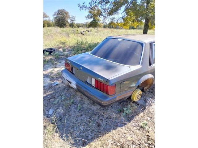 1981 Ford Mustang (CC-2112151) for sale in Cadillac, Michigan