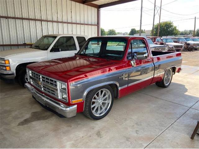 1985 Chevrolet C10 (CC-2112156) for sale in Cadillac, Michigan