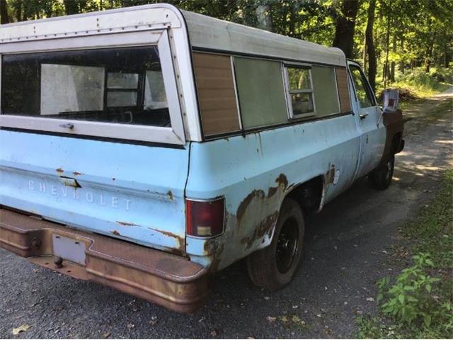 1977 Chevrolet C10 (CC-2110217) for sale in Cadillac, Michigan