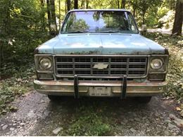 1977 Chevrolet C10 (CC-2110217) for sale in Cadillac, Michigan