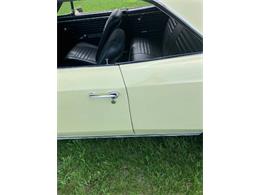 1967 Chevrolet Chevelle (CC-2112223) for sale in Cadillac, Michigan