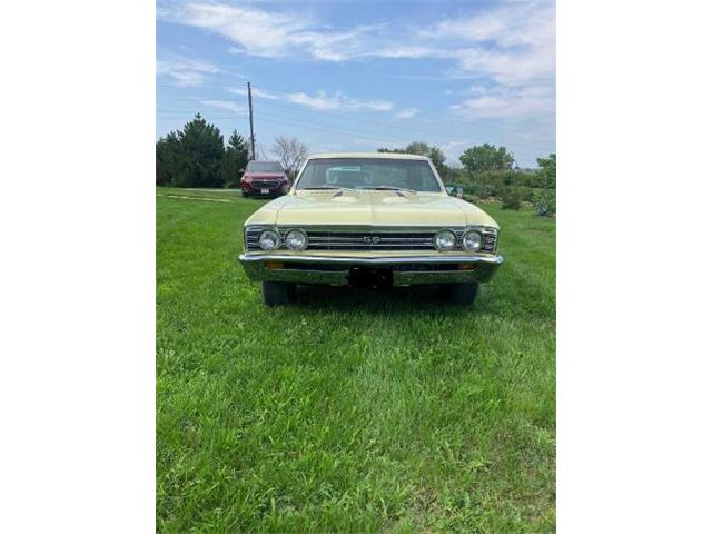 1967 Chevrolet Chevelle (CC-2112223) for sale in Cadillac, Michigan