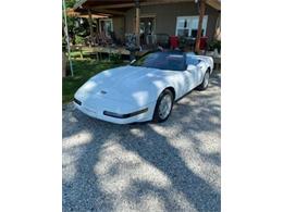 1991 Chevrolet Corvette (CC-2112241) for sale in Cadillac, Michigan