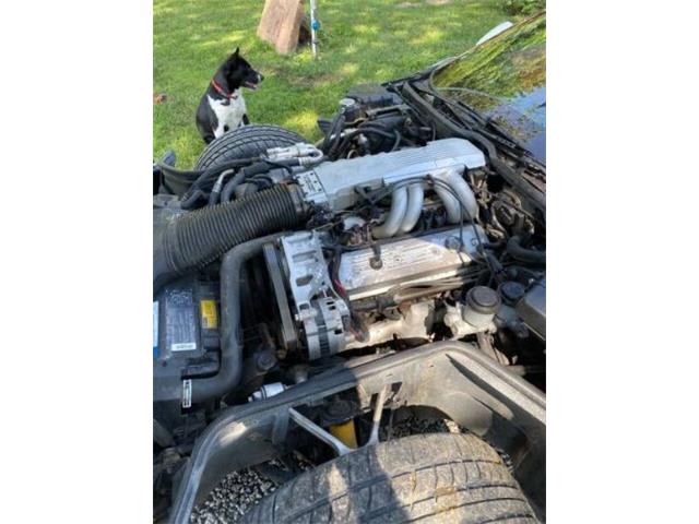 1991 Chevrolet Corvette (CC-2112241) for sale in Cadillac, Michigan