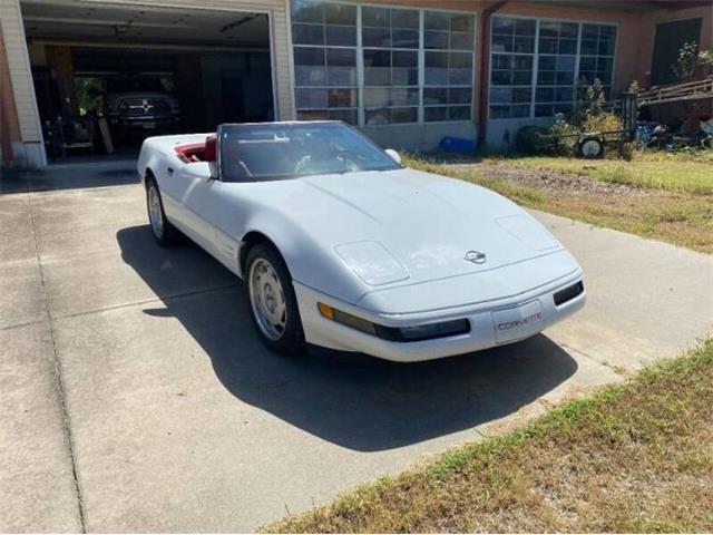 1991 Chevrolet Corvette (CC-2112241) for sale in Cadillac, Michigan