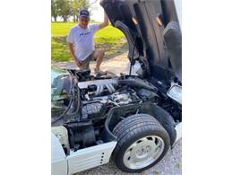 1991 Chevrolet Corvette (CC-2112241) for sale in Cadillac, Michigan