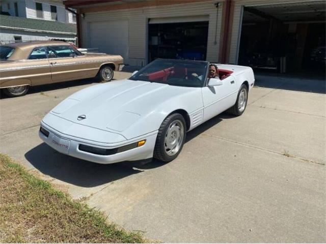 1991 Chevrolet Corvette (CC-2112241) for sale in Cadillac, Michigan