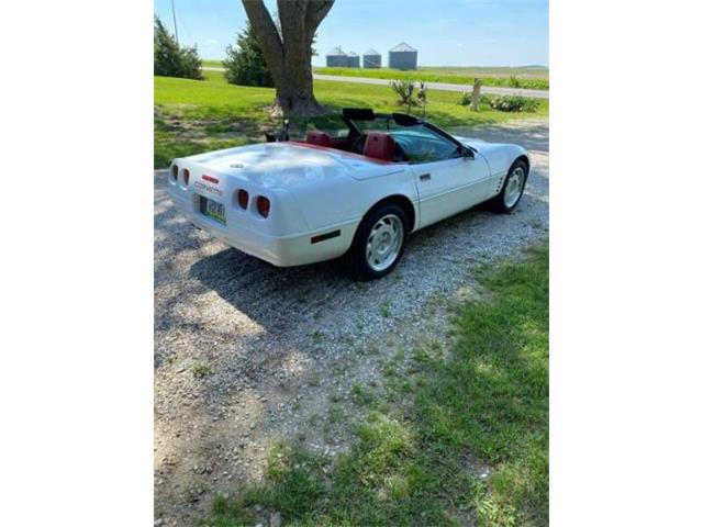 1991 Chevrolet Corvette (CC-2112241) for sale in Cadillac, Michigan