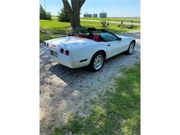 1991 Chevrolet Corvette (CC-2112241) for sale in Cadillac, Michigan