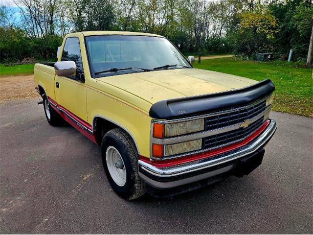 1990 Chevrolet C/K 1500 (CC-2112247) for sale in Cadillac, Michigan