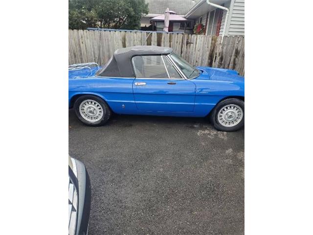 1979 Alfa Romeo Spider (CC-2112248) for sale in Cadillac, Michigan
